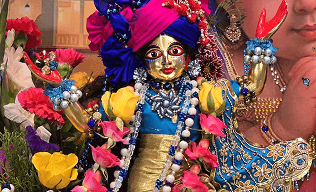 Festival gallery image 10